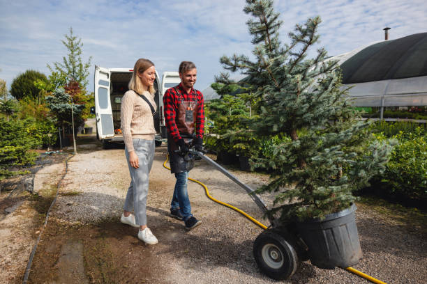 Best Palm Tree Trimming  in New Kensington, PA